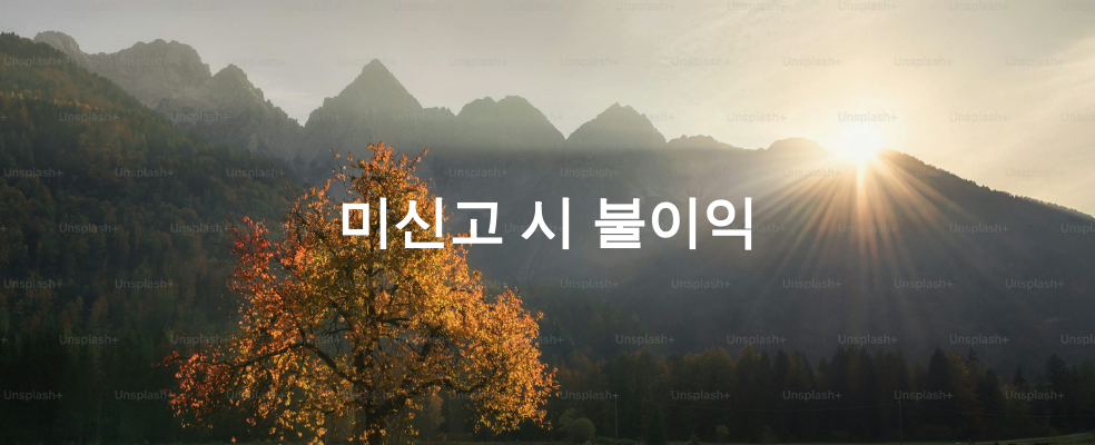 미신고 시 불이익