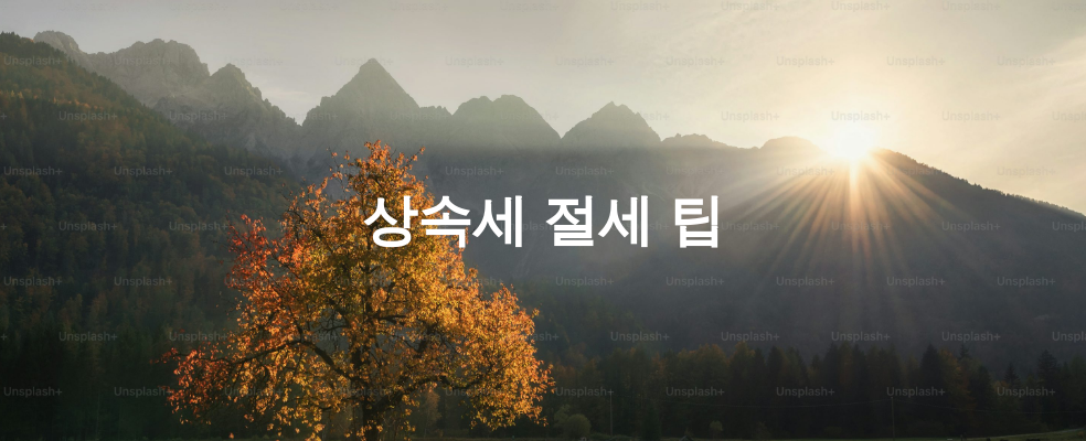 상속세 절세 팁