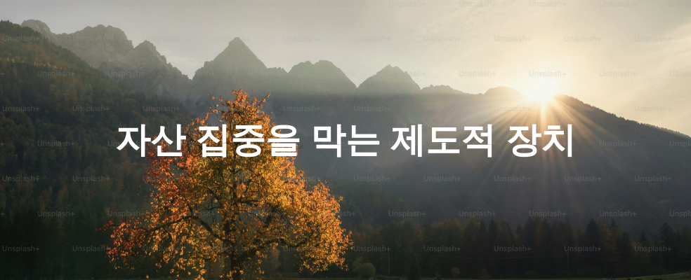 자산 집중을 막는 제도적 장치
