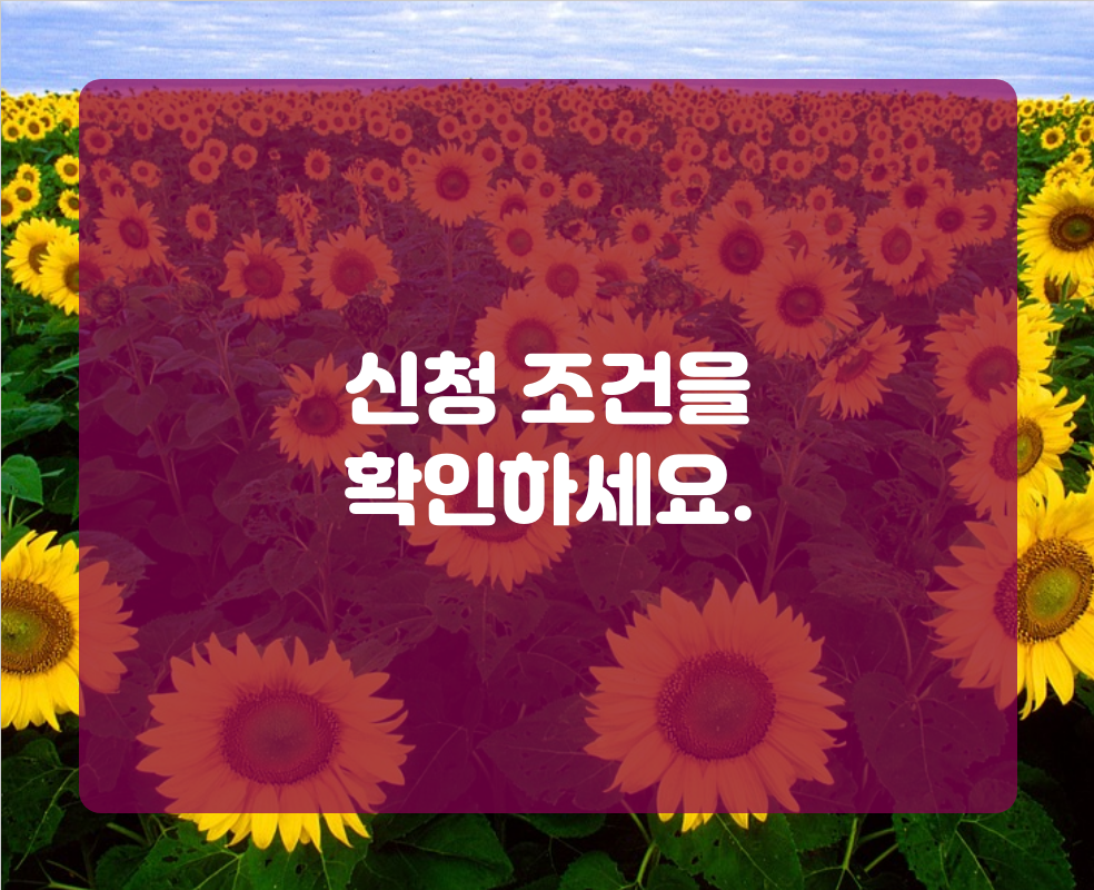 신청 조건을 확인하세요.