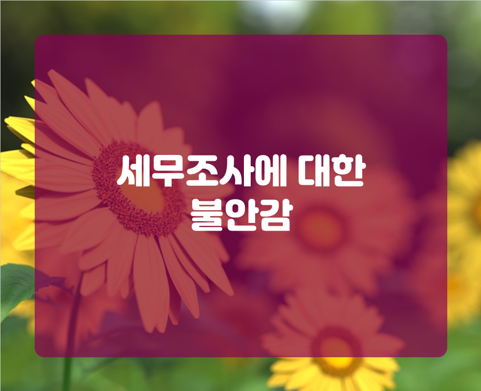 세무조사에 대한 불안감