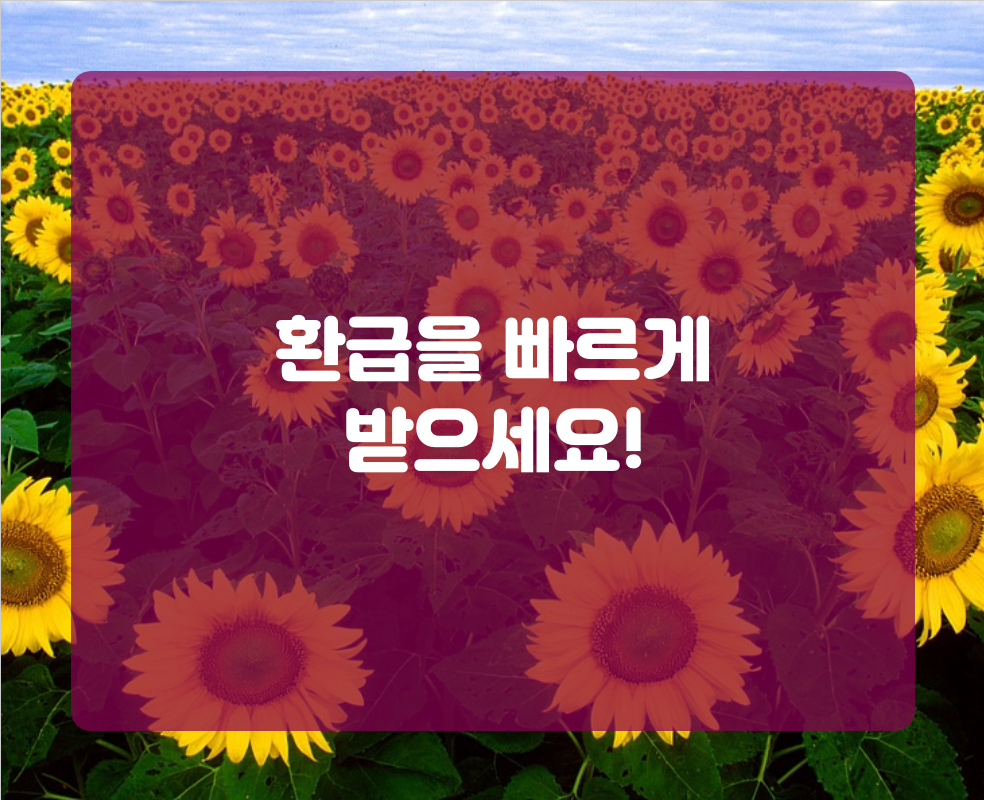 환급을 빠르게 받으세요!