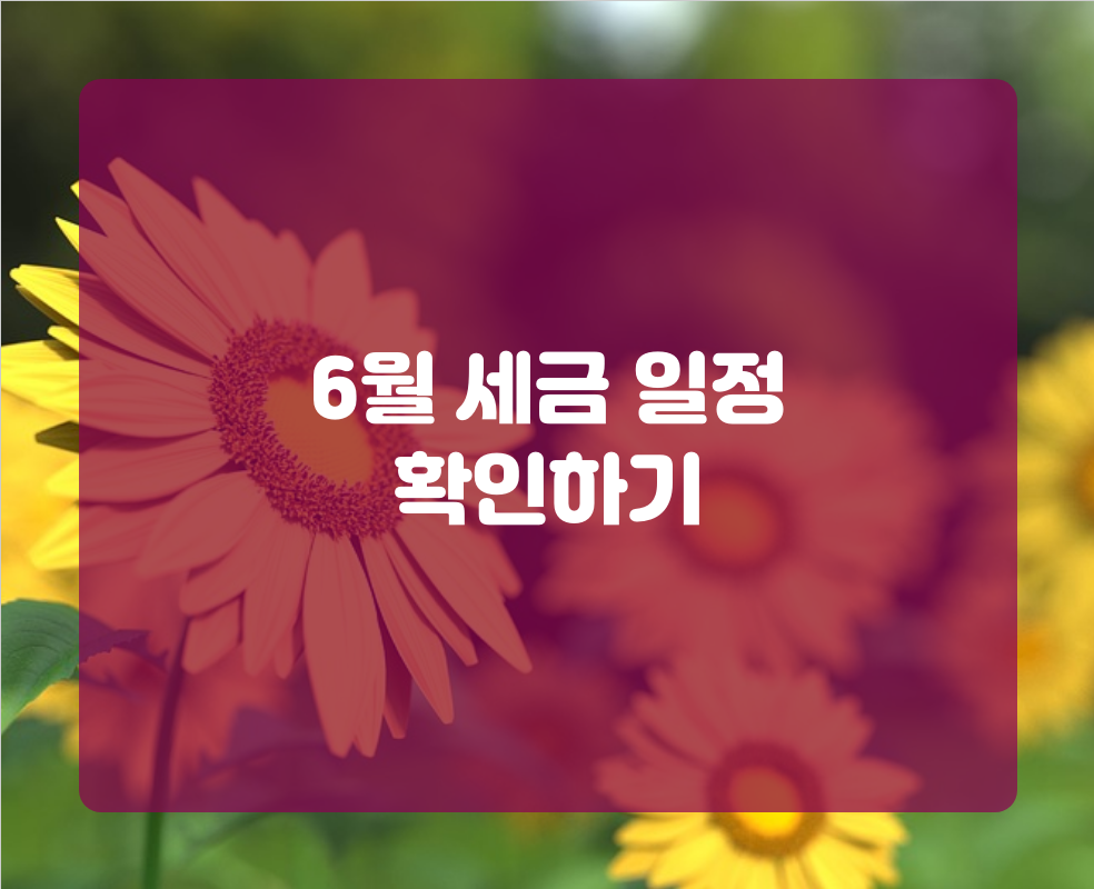 6월 세금 일정 확인하기