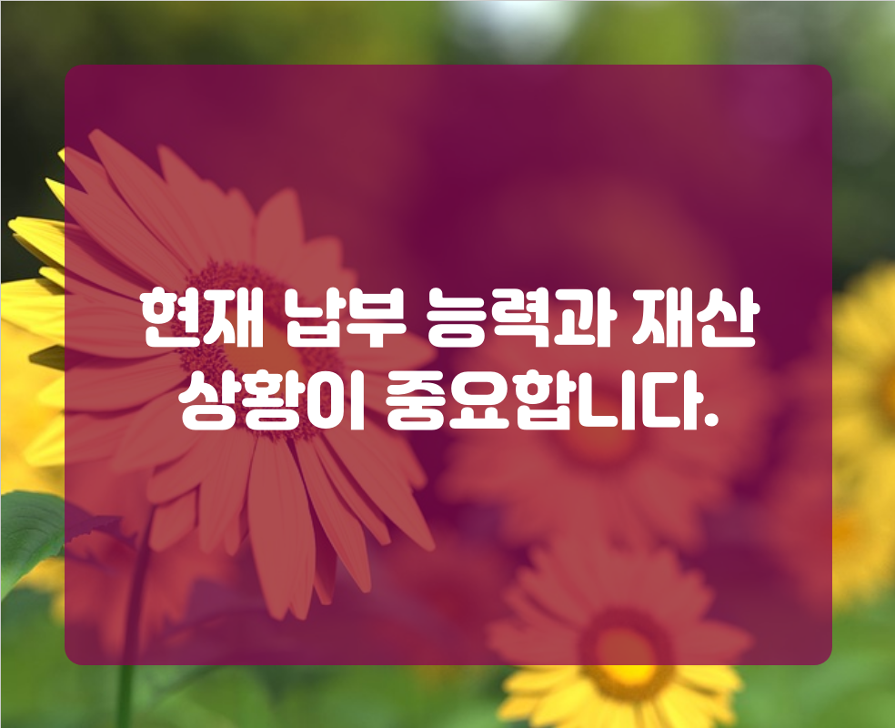 현재 납부 능력과 재산 상황이 중요합니다.