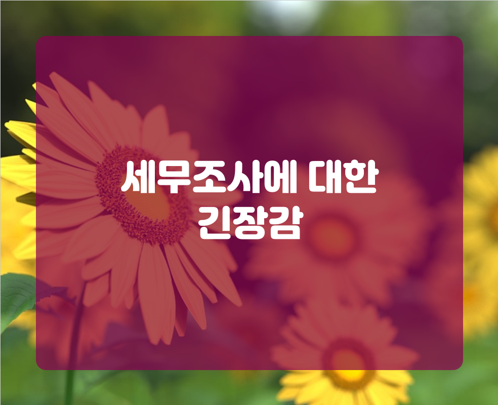 세무조사에 대한 긴장감