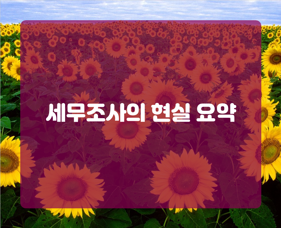 세무조사의 현실 요약