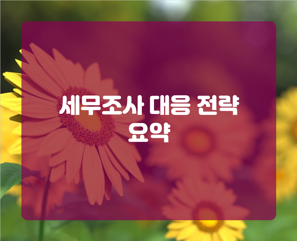 세무조사 대응 전략 요약
