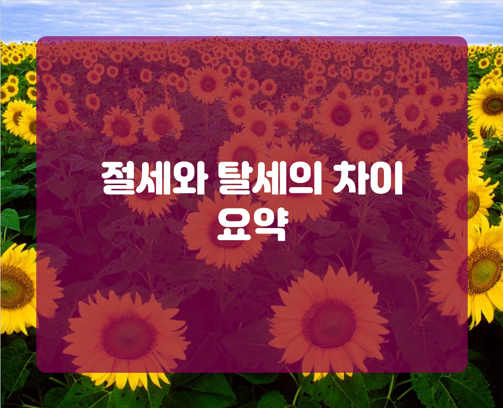절세와 탈세의 차이 요약