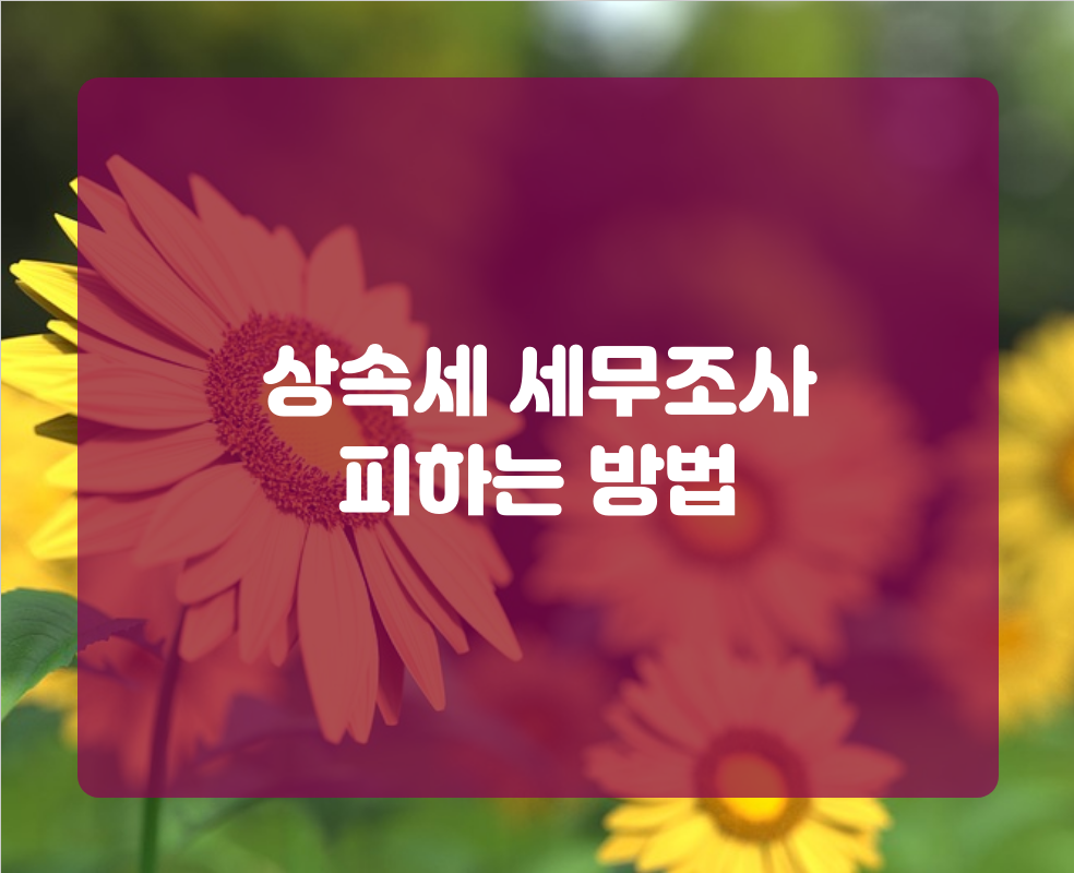 상속세 세무조사 피하는 방법
