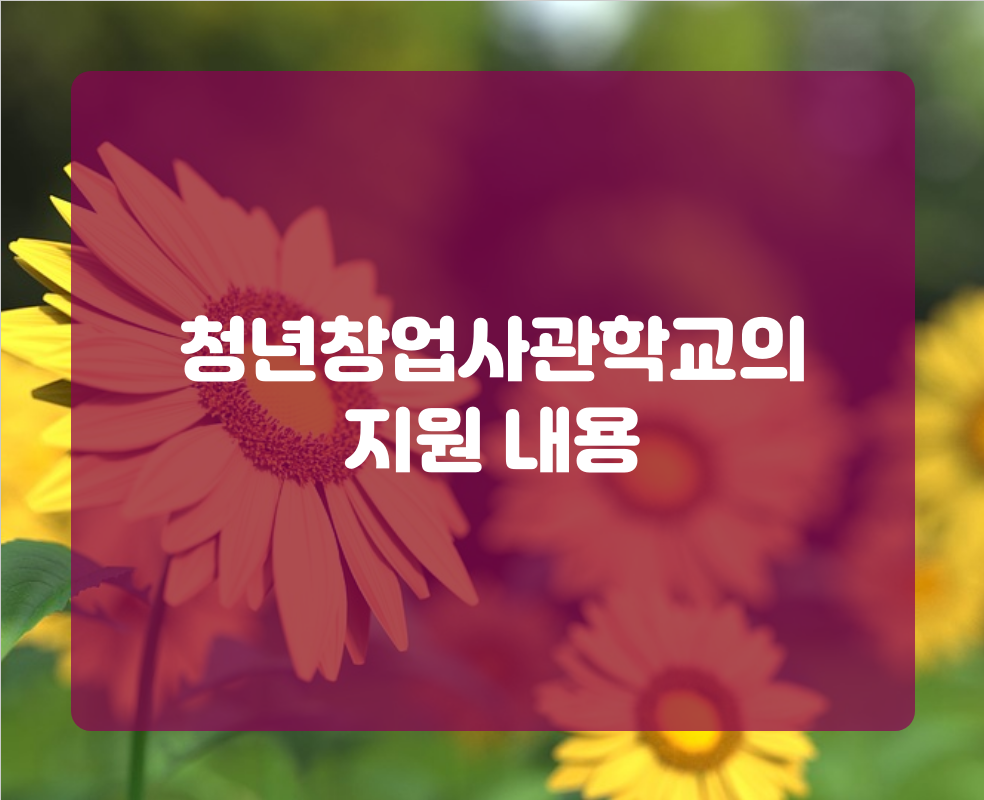 청년창업사관학교의 지원 내용