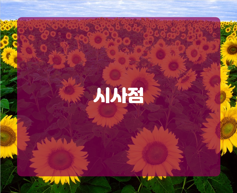시사점