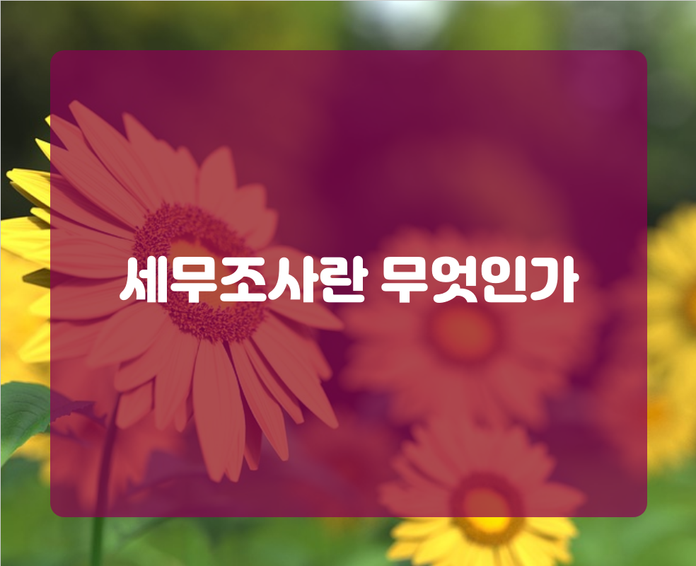 세무조사란 무엇인가