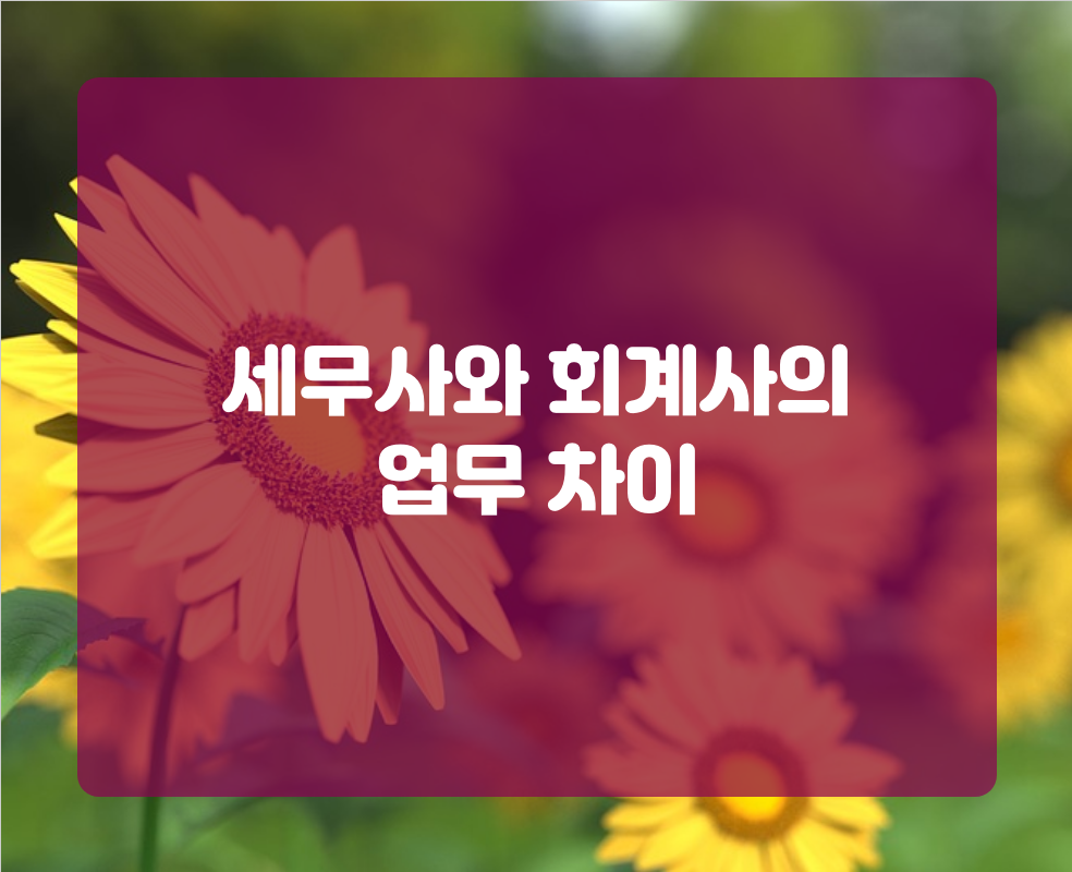 세무사와 회계사 차이점