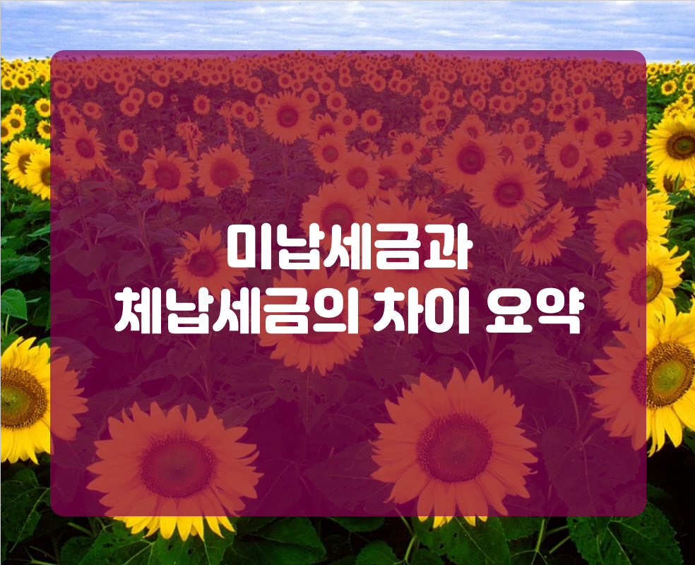 미납세금과 체납세금의 차이 요약