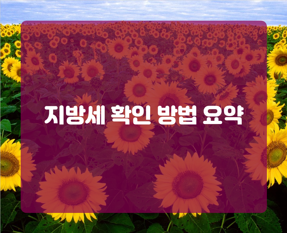 지방세 확인 방법 요약