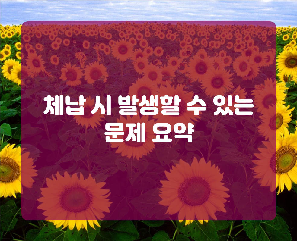 체납 시 발생할 수 있는 문제 요약
