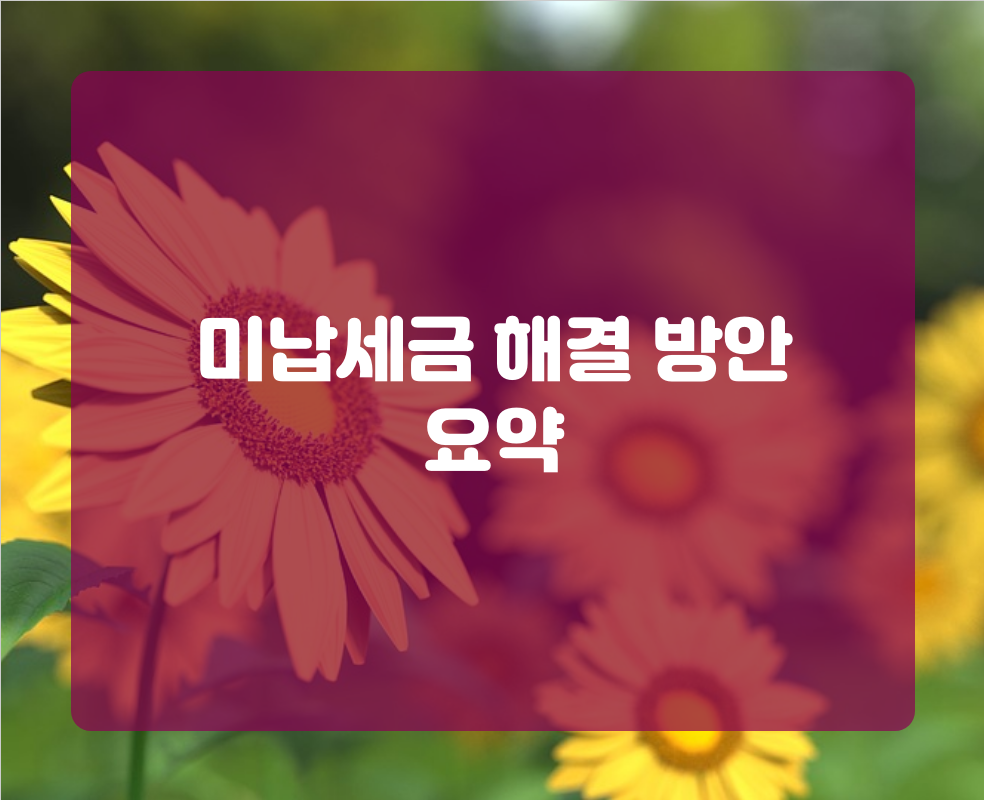 미납세금 해결 방안 요약