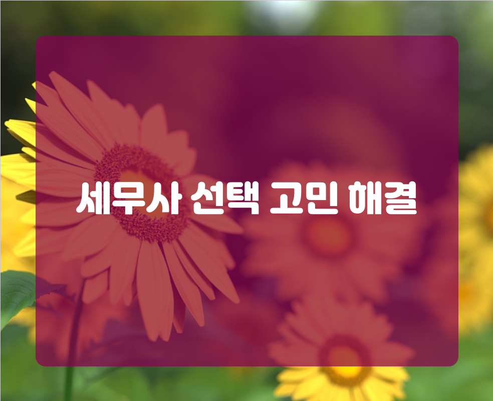세무사 선택 고민 해결